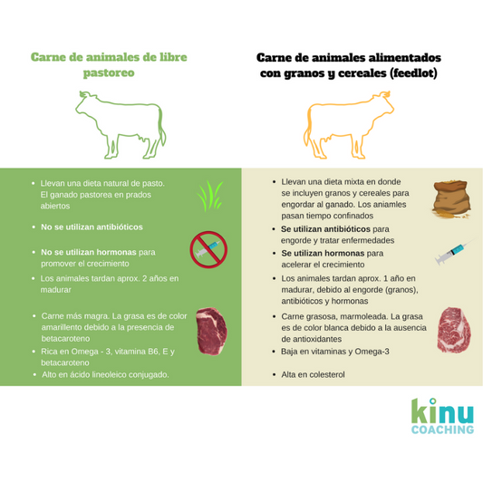 Carnes naturales vs. convencionales - Kinu Coaching